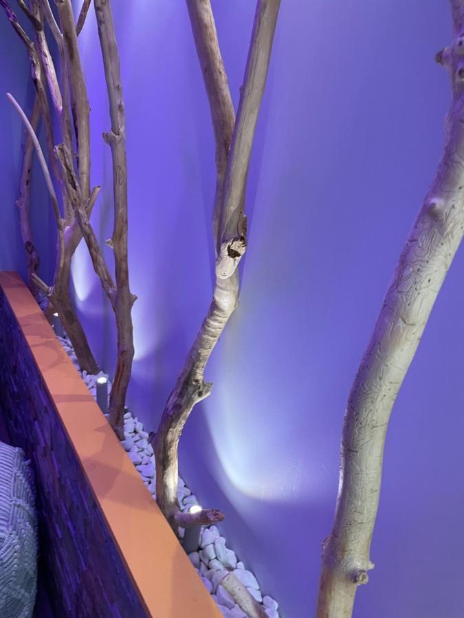 Hotel Et Spa Du Scharrach Scharrachbergheim Irmstett エクステリア 写真