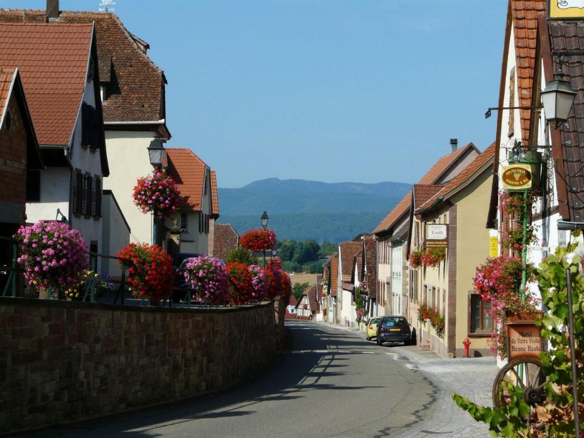 Hotel Et Spa Du Scharrach Scharrachbergheim Irmstett エクステリア 写真
