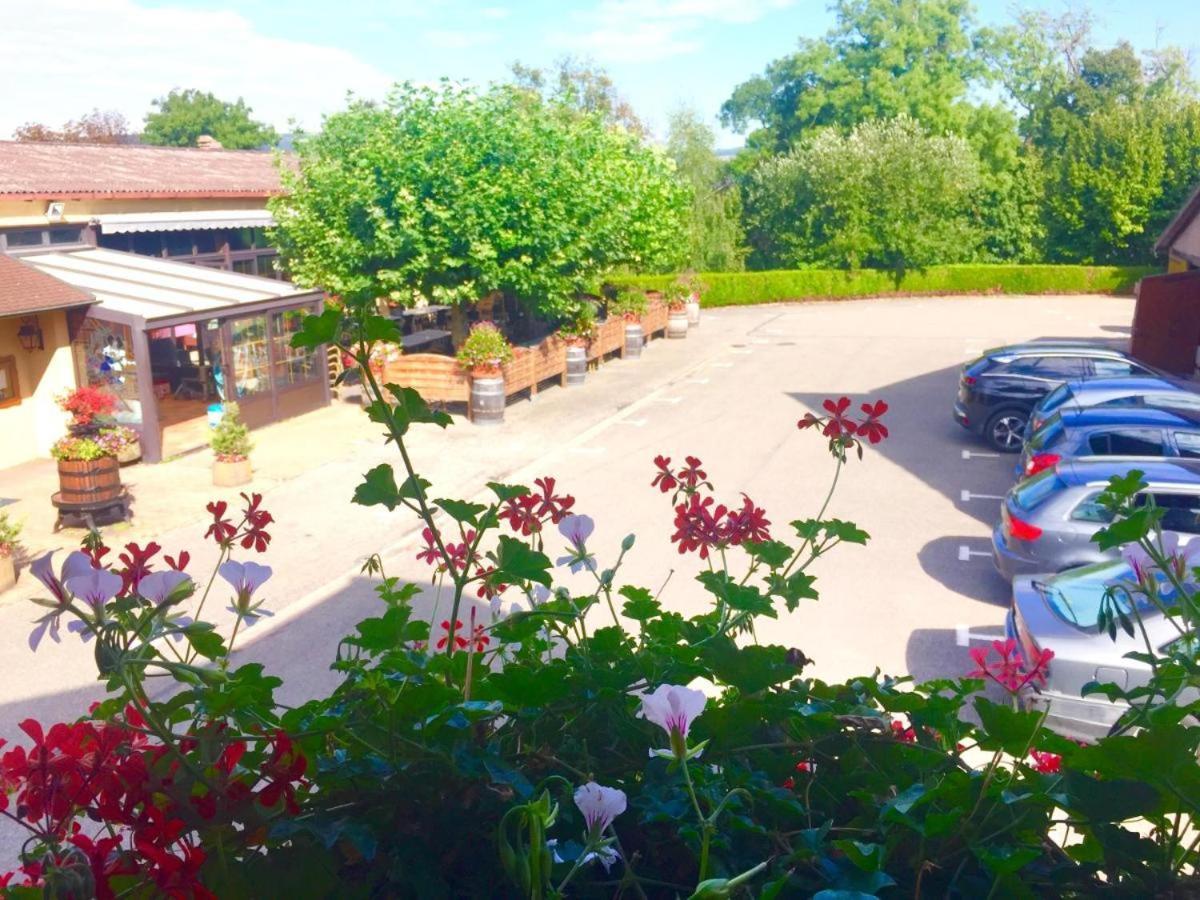 Hotel Et Spa Du Scharrach Scharrachbergheim Irmstett エクステリア 写真